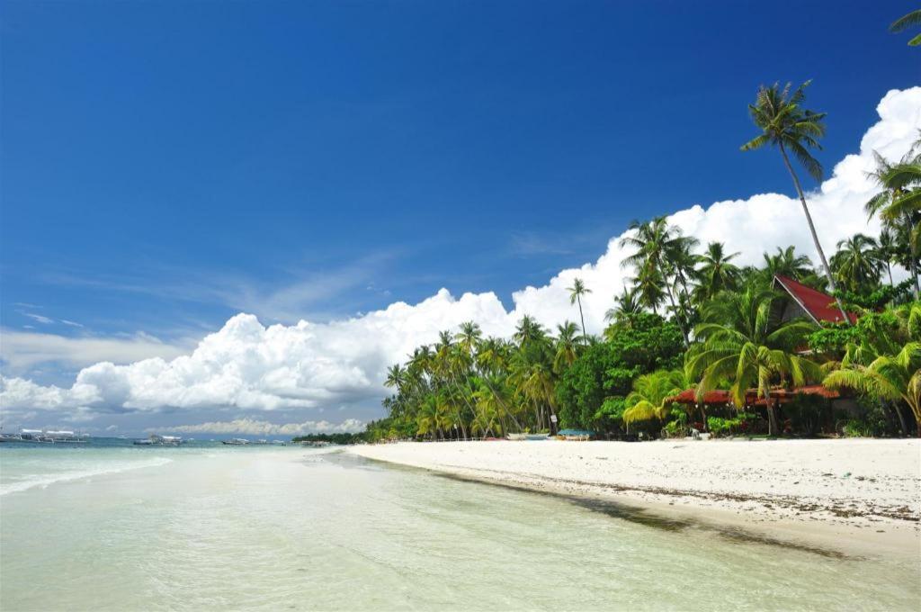 Palms Cove Resort Panglao Eksteriør bilde